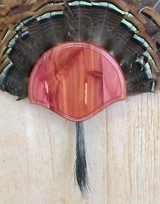 Solid Cedar Turkey Fan / Beard Mounting Kit -01