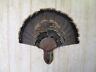 Solid Black Walnut Turkey Fan / Beard Mounting Kit -02